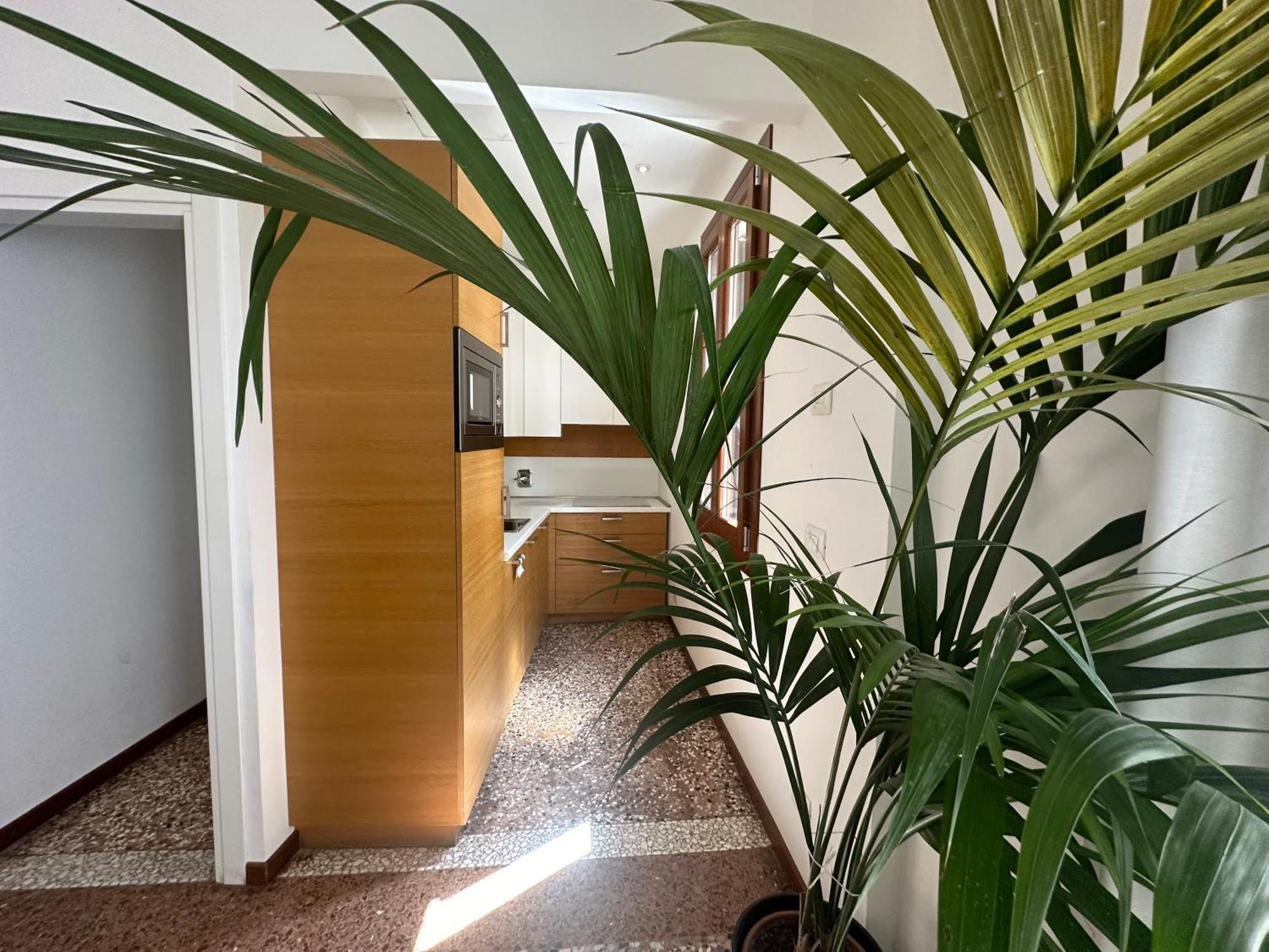 Ca' D'Oro Suite เวนิส ภายนอก รูปภาพ